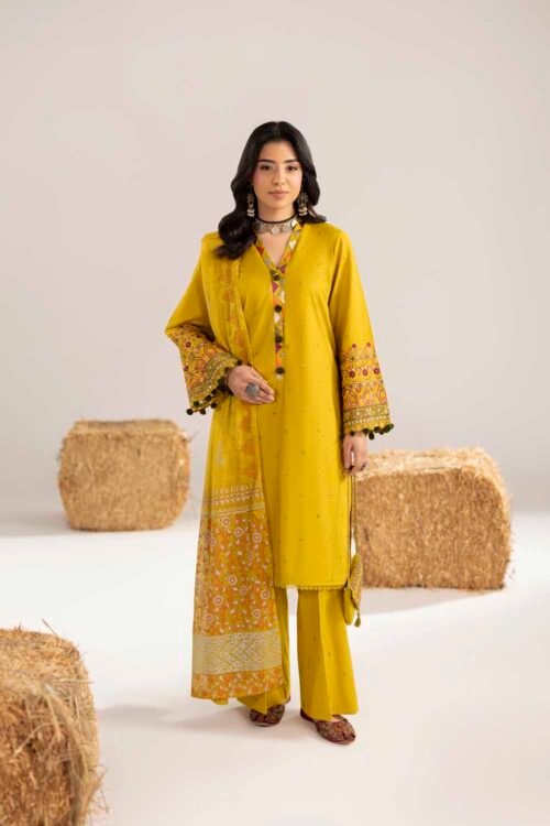 Dhaani Phulkaari 3-Piece (ZR-2611)