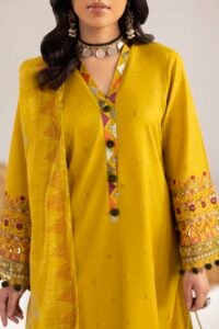 Dhaani Phulkaari 3-Piece (ZR-2611)