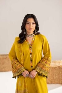 Dhaani Phulkaari 3-Piece (ZR-2611)