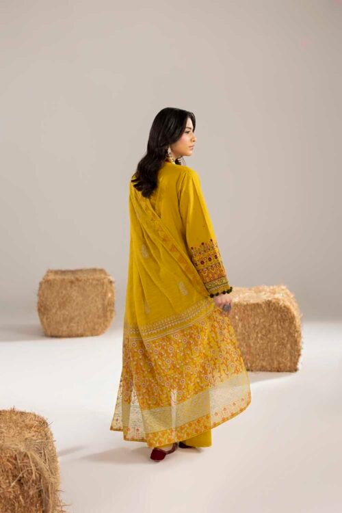 Dhaani Phulkaari 3-Piece (ZR-2611)