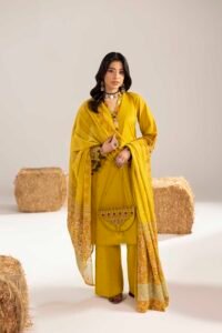 Dhaani Phulkaari 3-Piece (ZR-2611)