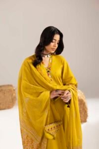 Dhaani Phulkaari 3-Piece (ZR-2611)