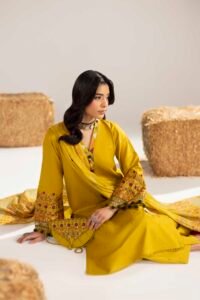 Dhaani Phulkaari 3-Piece (ZR-2611)