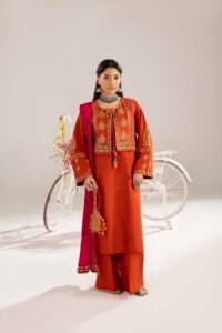 Rust Phulkaari 3-Piece (ZR-2613)