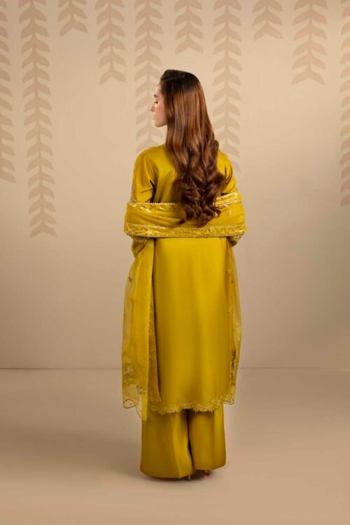 Dhaani Zardozi 3-Piece (ZR-2561)