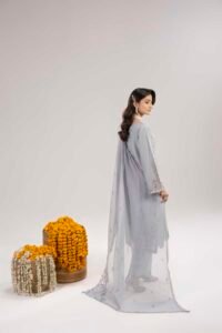 Grey Phulkaari 3-Piece (ZR-2617)